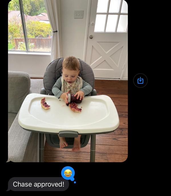 Chase approved - kid enjoying Dan's Jams